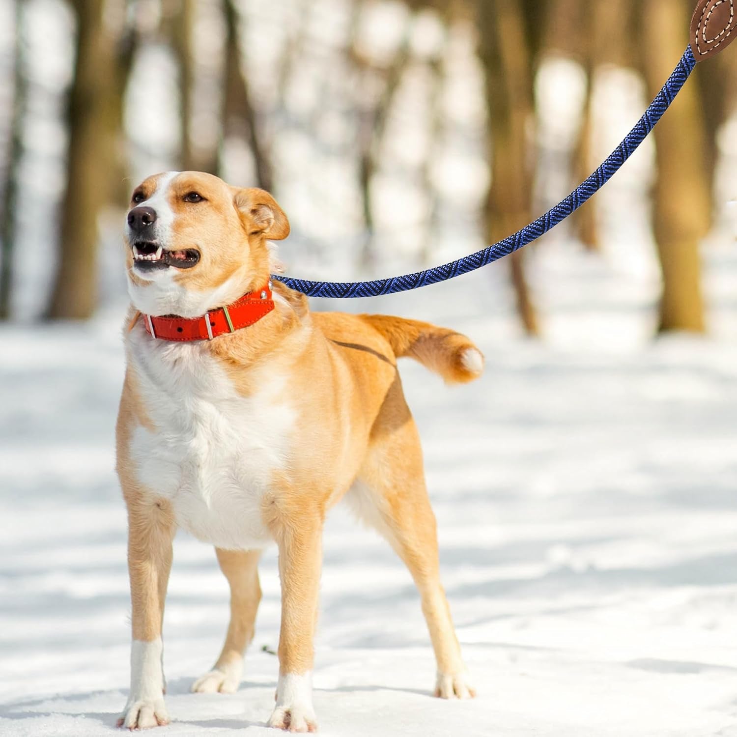 Rope Leash with Genuine Leather Connection, 6 FT/5 FT/4 FT, Heavy Duty Leash for Medium & Large Dogs (Blue, 60 Inch)