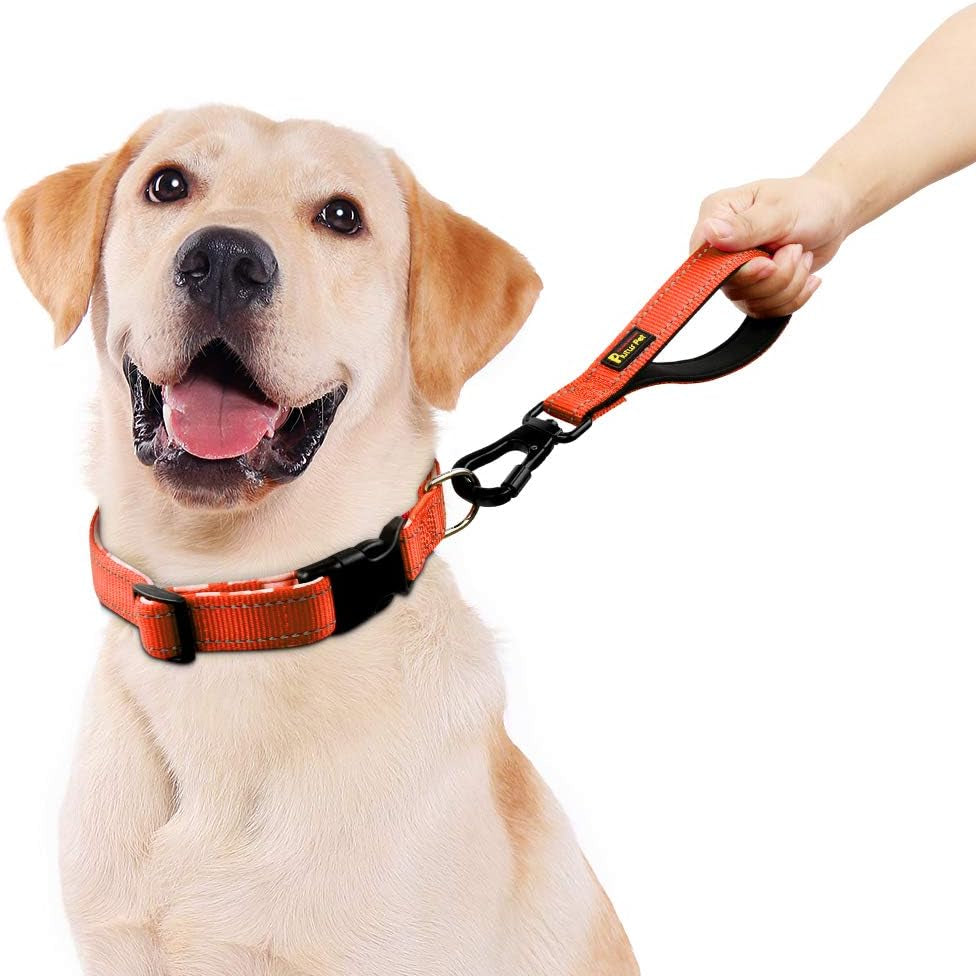 10” Short Dog Leash, Reflective Nylon Padded Handle, Strong Traffic Leash with Carabiner Clip, Perfect for Large or Medium Dogs（10”，Orange