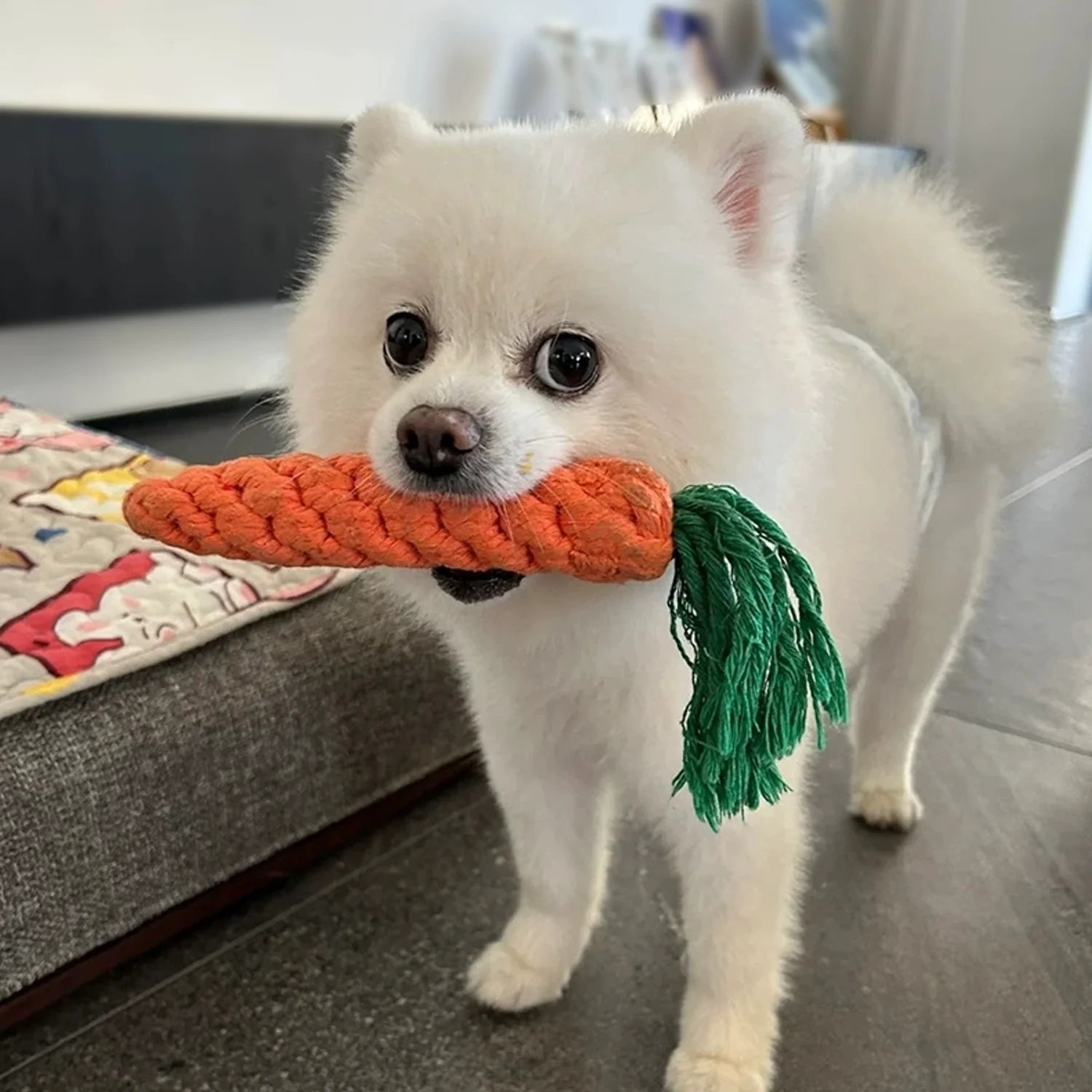 Dog Toys 5 PCS Puppy Teething Chew Toys,Dog Rope Toys,Cat Chew Toys,Safe Braided Rabbit Toys Healthy Gift