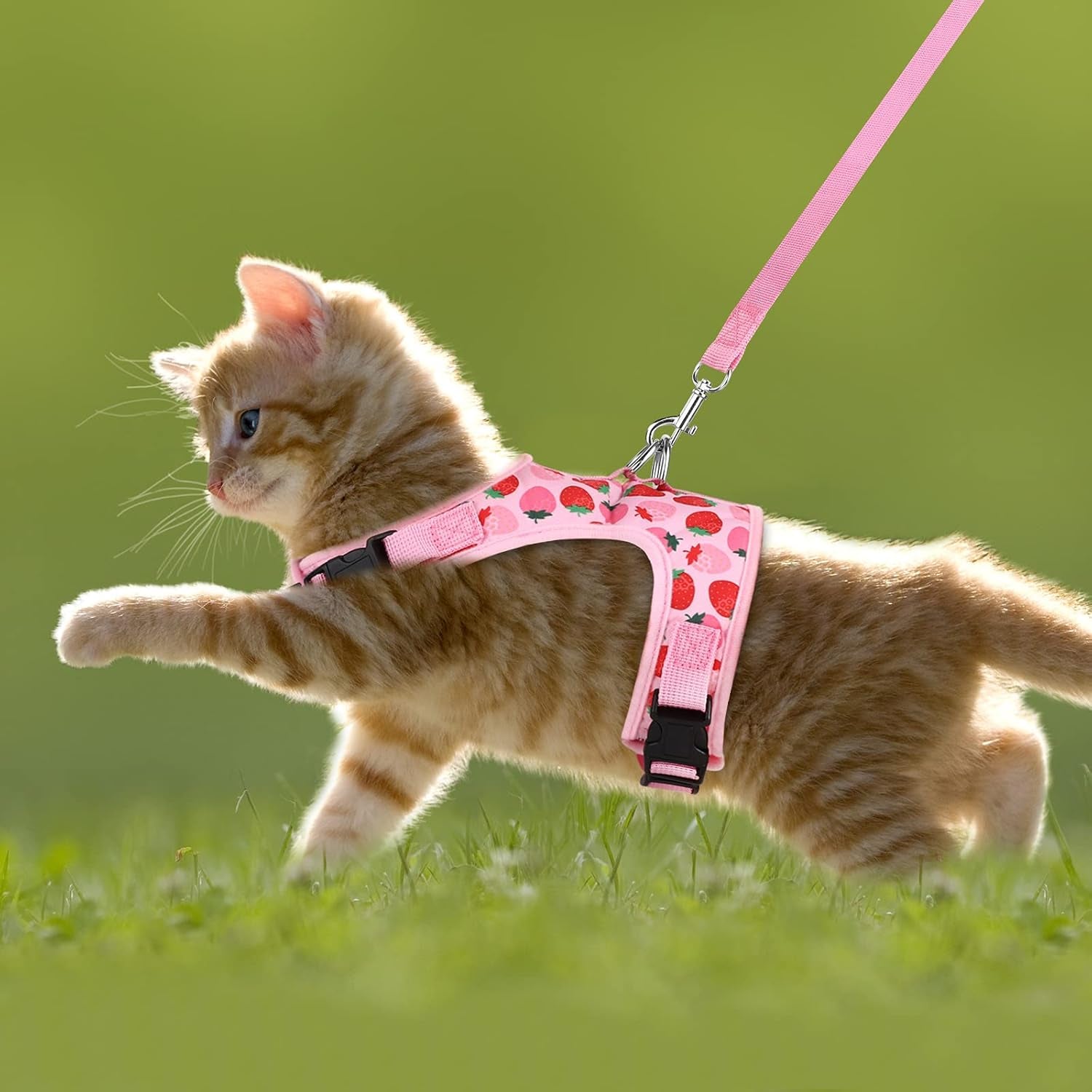 Cat Harness and Leash Set Cat Vest Harness Pet Leash and Collar Set Pet Harness for Kitties Puppies Small Pets Outdoor Walking, X-Small