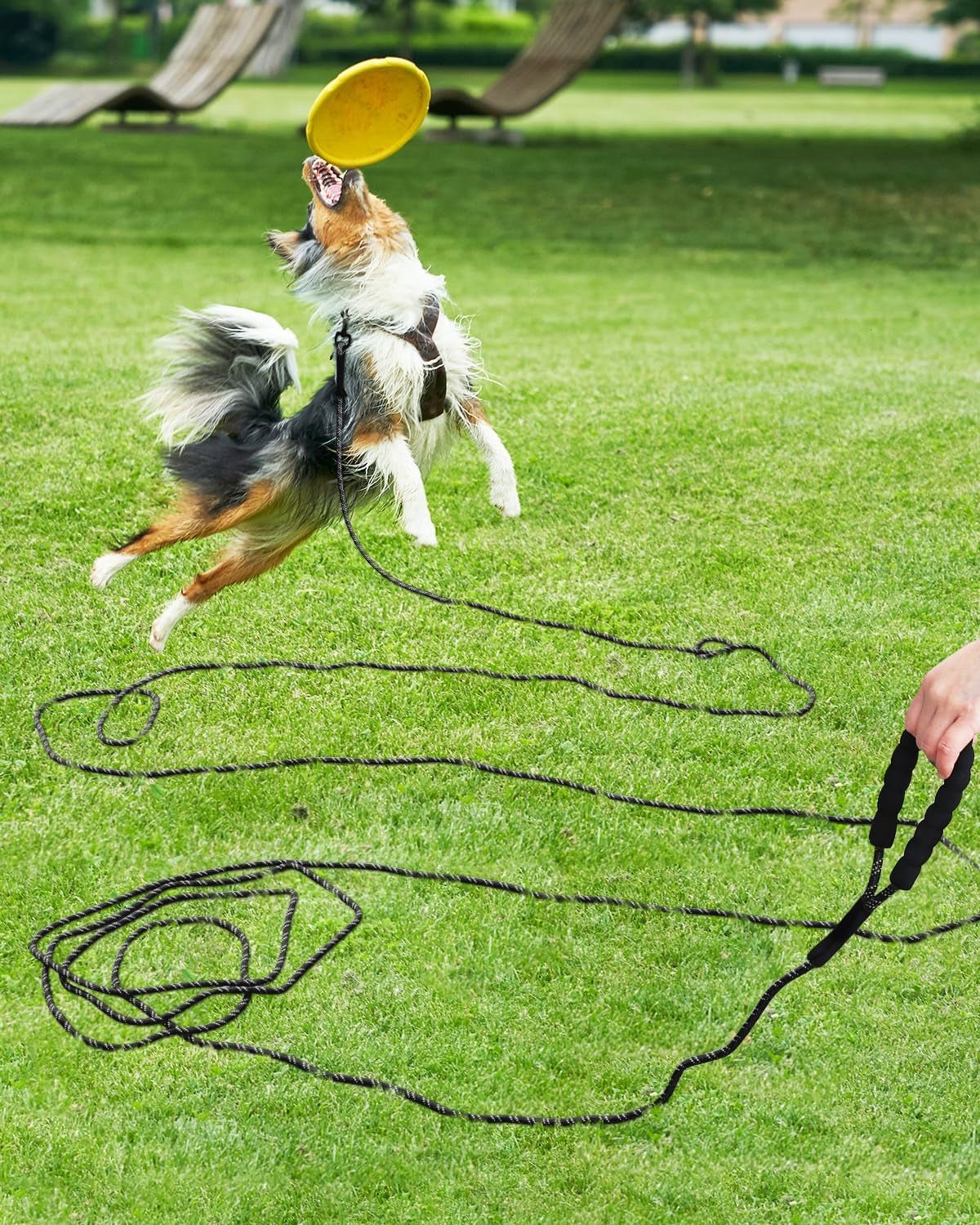 Long Dog Leash, 15FT 30FT 50FT 66FT, Training and Recall Leash with Comfortable Padded Handle for Large Medium Small Dogs Walking, Camping, Black 66FT